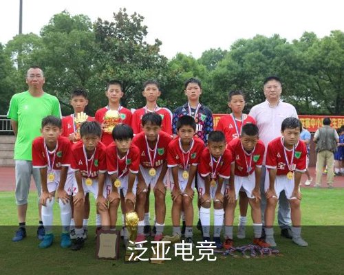 泛亚电竞入口-泛亚·电竞(中国)专业电子竞技平台体育的故事 